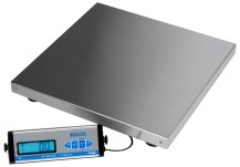 Salter PS-250 22x22 Scale