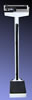 RGT Doctor Scale